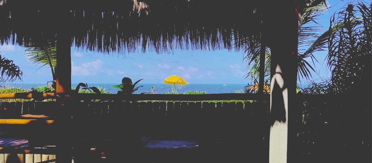 Vila Araticum Praia Santo André Kültér fotó