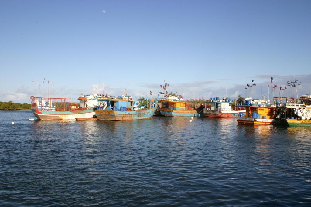 Vila Araticum Praia Santo André Kültér fotó